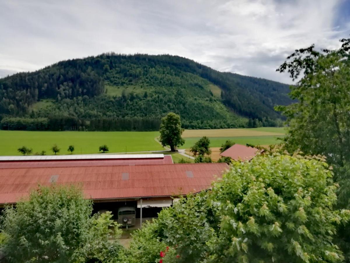 Ferienwohnung Erni Feldkirchen in Kärnten Dış mekan fotoğraf
